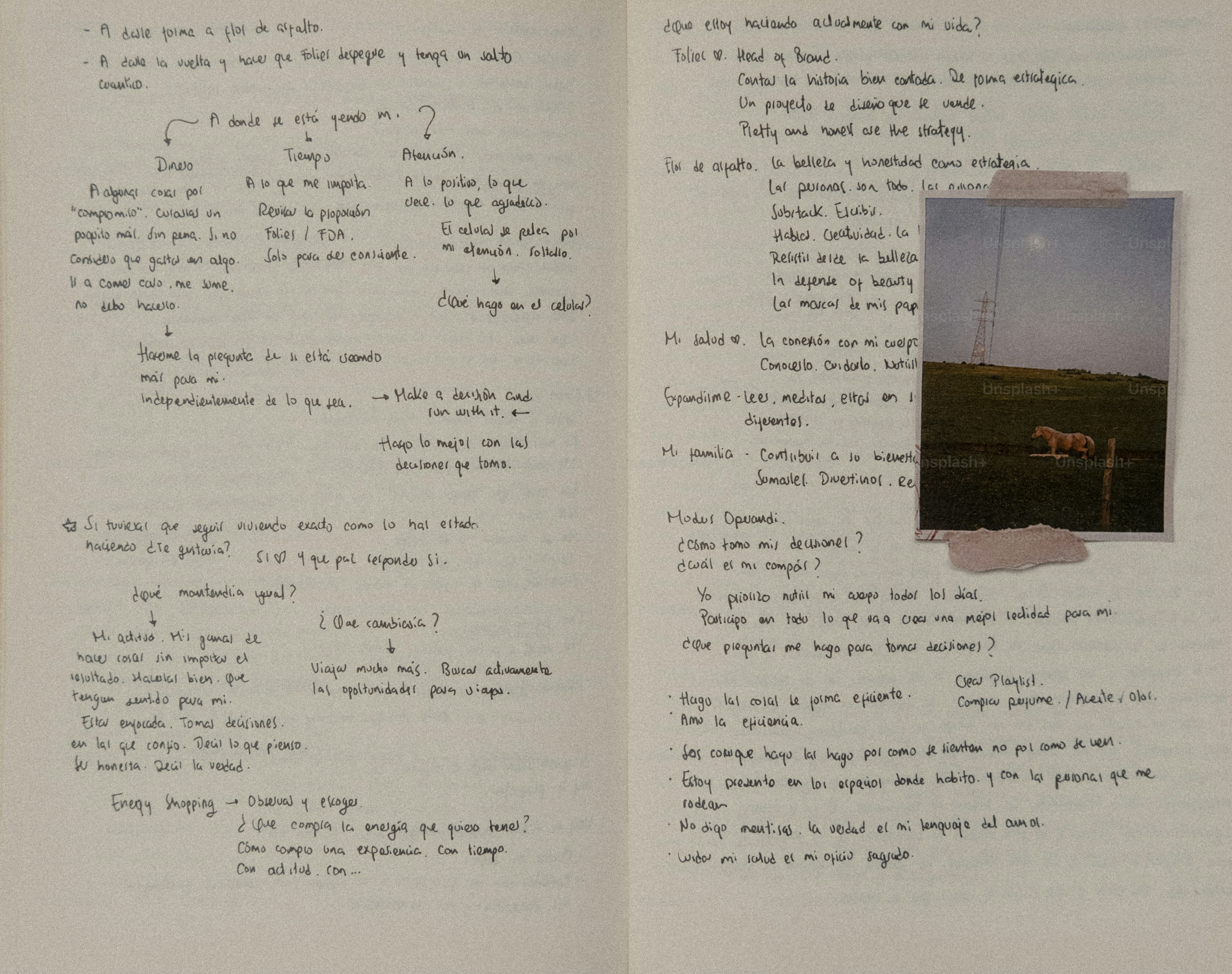 Handwritten notes and a small photograph of a horse.